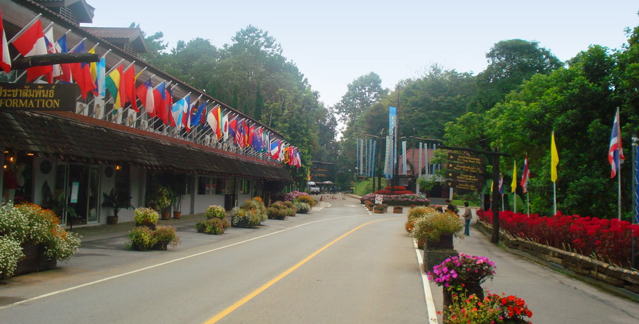 doi tung